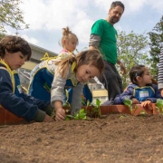 Mehrere Kinder setzen Pflanzen in das Hochbeet