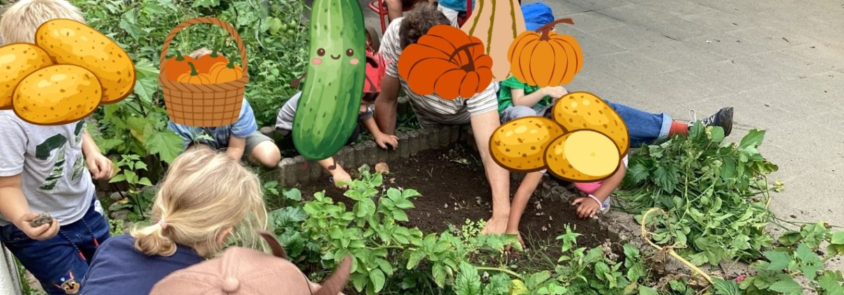 Kinder sitzen um ein Beet und graben in der Erde