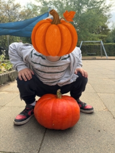 Ein Kind hockt hinter einem großen Kürbis